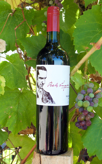 Lugosi Wines 2007 Salta Malbec 750ml Wine Bottle