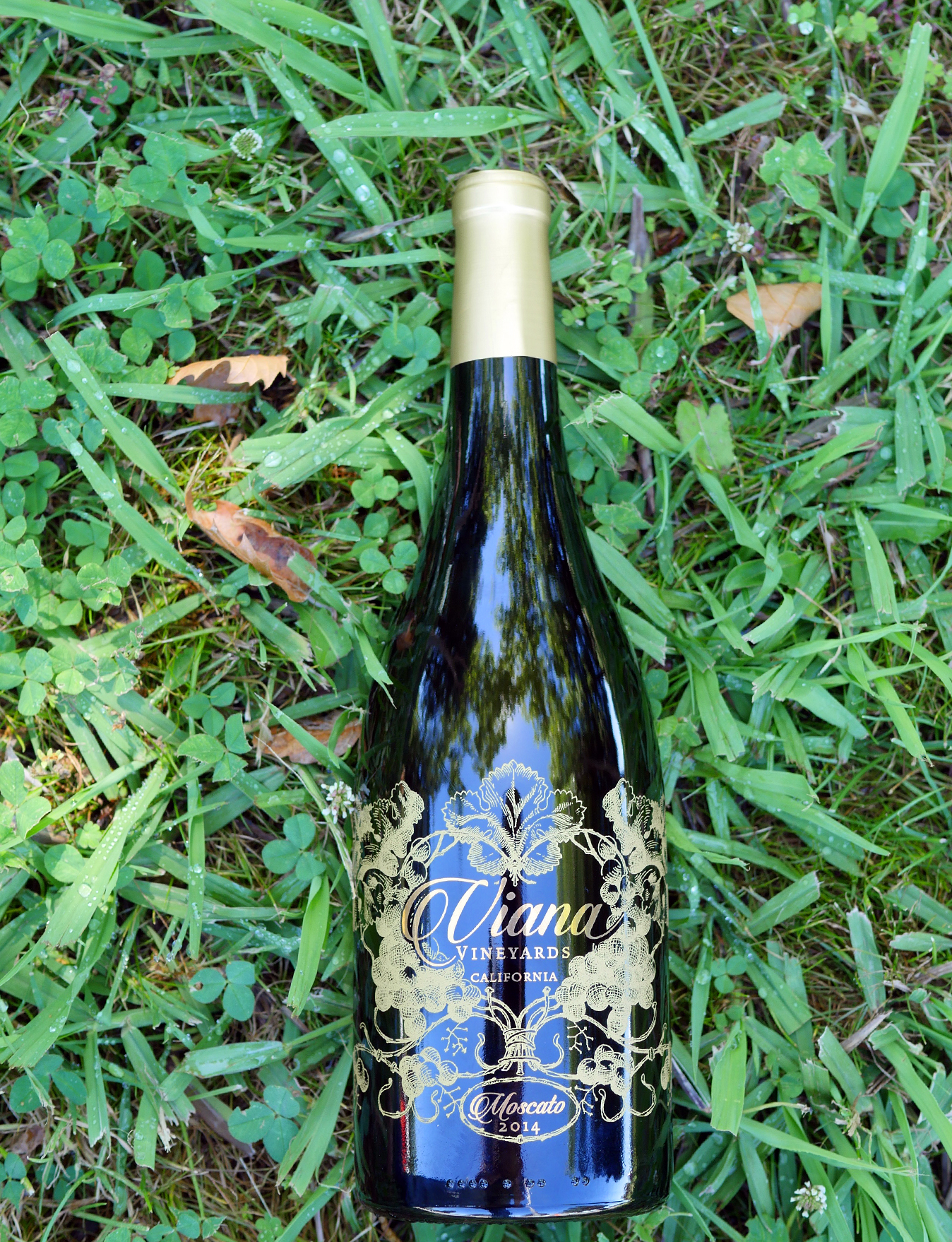 Viana Vineyards 2014 Moscato 750ml Wine Bottle