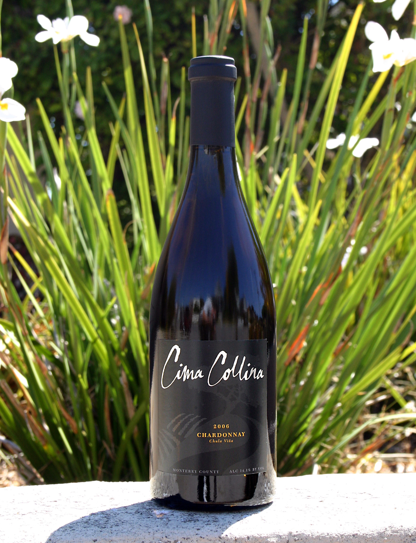 Cima Collina 2006 Chula Viña Chardonnay 750ml Wine Bottle