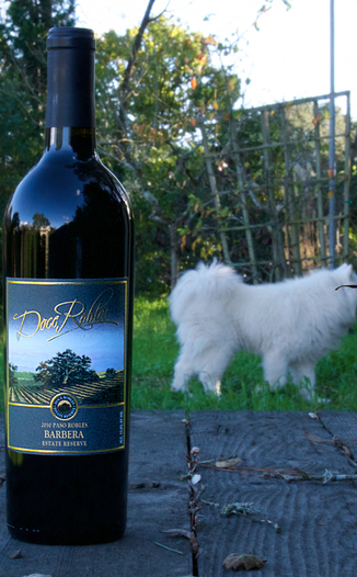 Doce Robles 2010 Winery Estate Barbera 750ml Wine Bottle