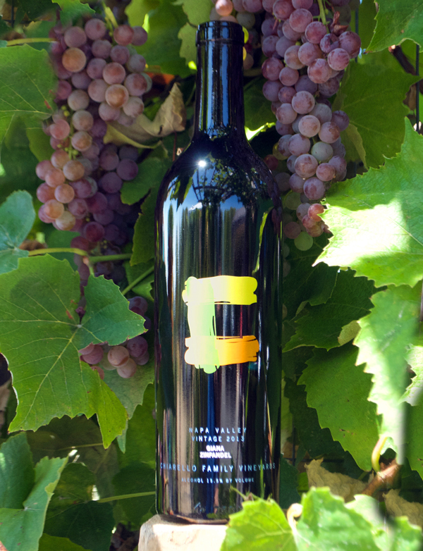 Chiarello Family Vineyards 2013 Giana Napa Valley Zinfandel 750ml Wine Bottle