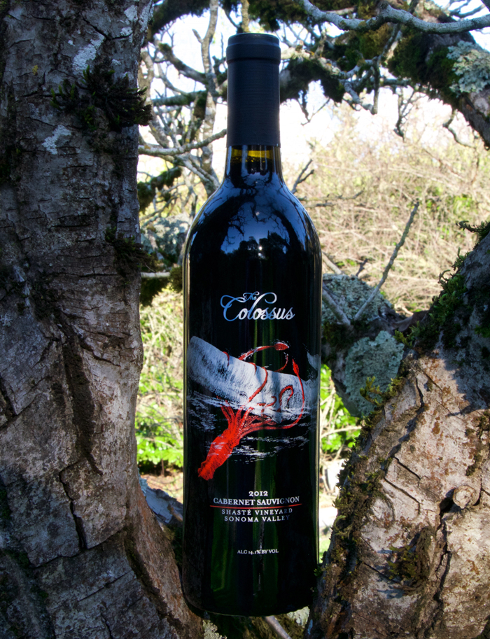 Eight Arms Cellars 2012 "The Colossus" Shasté Vineyard Cabernet Sauvignon 750ml Wine Bottle