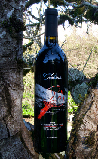 Eight Arms Cellars 2012 "The Colossus" Shasté Vineyard Cabernet Sauvignon 750ml Wine Bottle