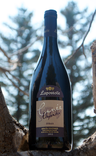 Lapostolle (OLD) 2012 Cuvee Alexandre Syrah 750ml Wine Bottle