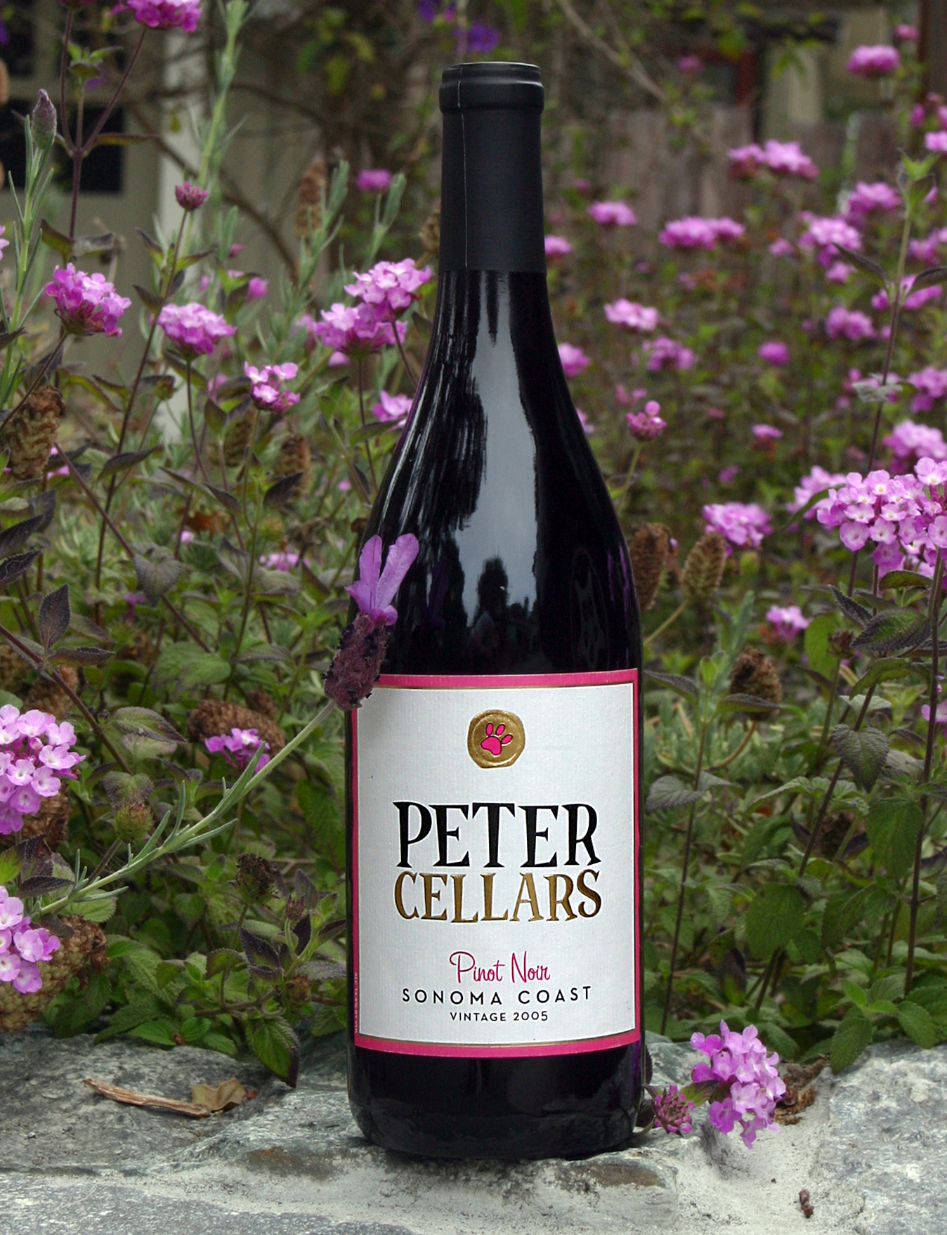 Peter Cellars 2005 Pinot Noir 750ml Wine Bottle