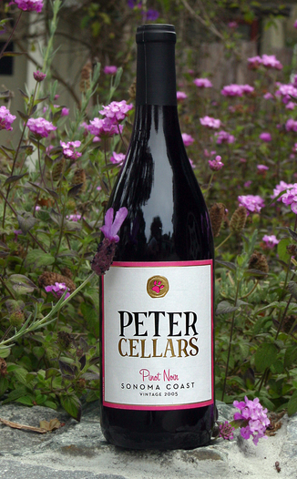Peter Cellars 2005 Pinot Noir 750ml Wine Bottle