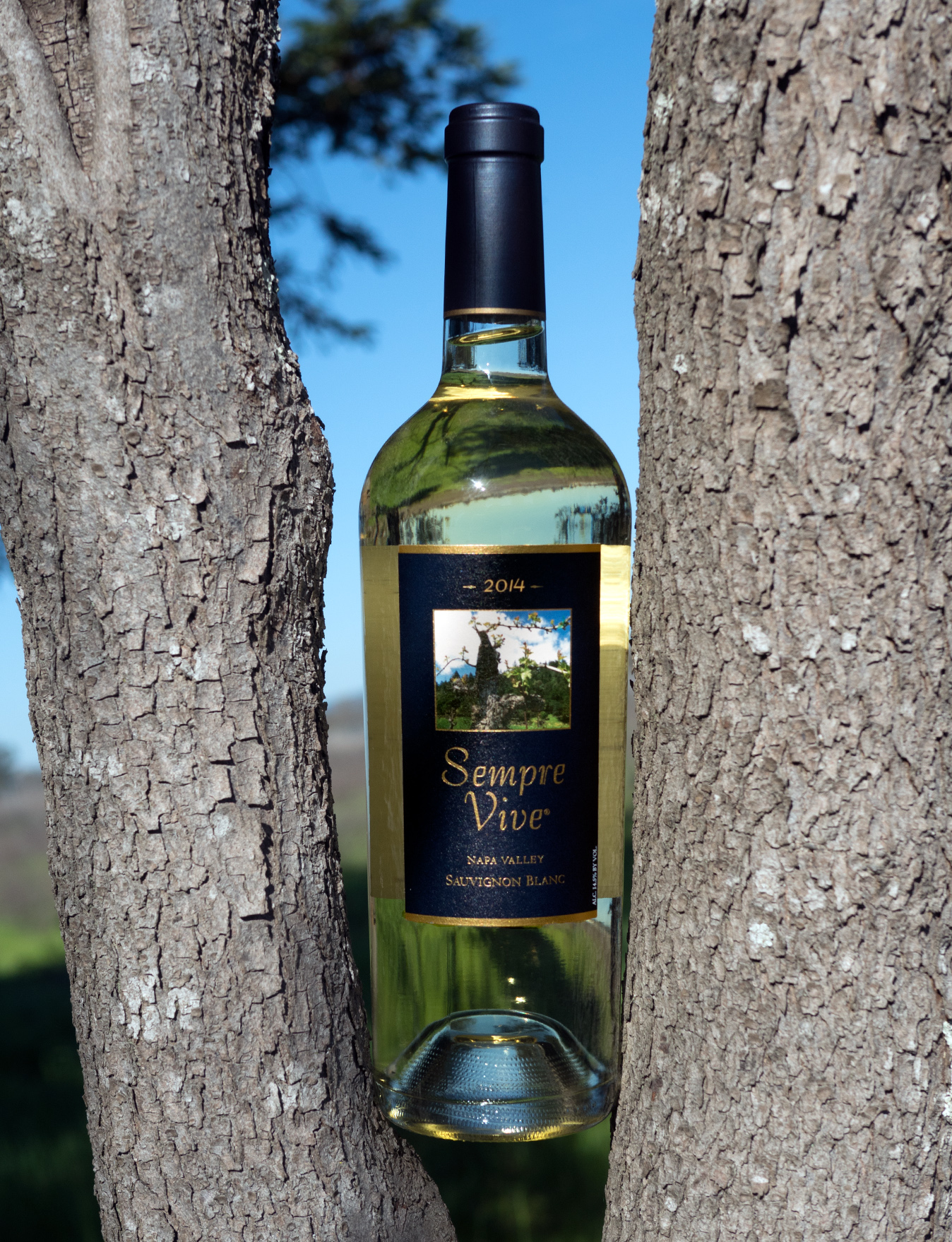 Romeo Vineyards 2014 Sempre Vive Napa Valley Sauvignon Blanc 750ml Wine Bottle