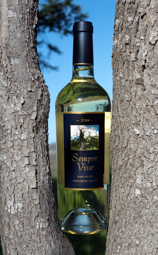 Romeo Vineyards 2014 Sempre Vive Napa Valley Sauvignon Blanc 750ml Wine Bottle