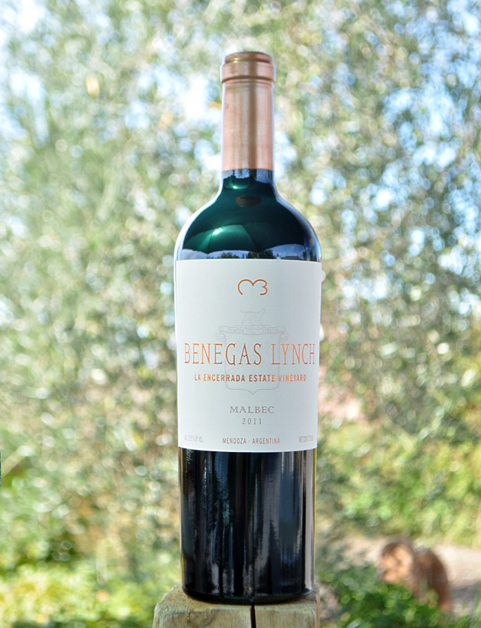 Benegas Lynch 2011 Mendoza Malbec 750ml Wine Bottle