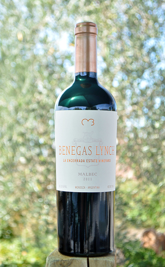 Benegas Lynch 2011 Mendoza Malbec 750ml Wine Bottle
