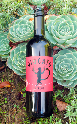 Giocato Wines 2010 Merlot 750ml Wine Bottle