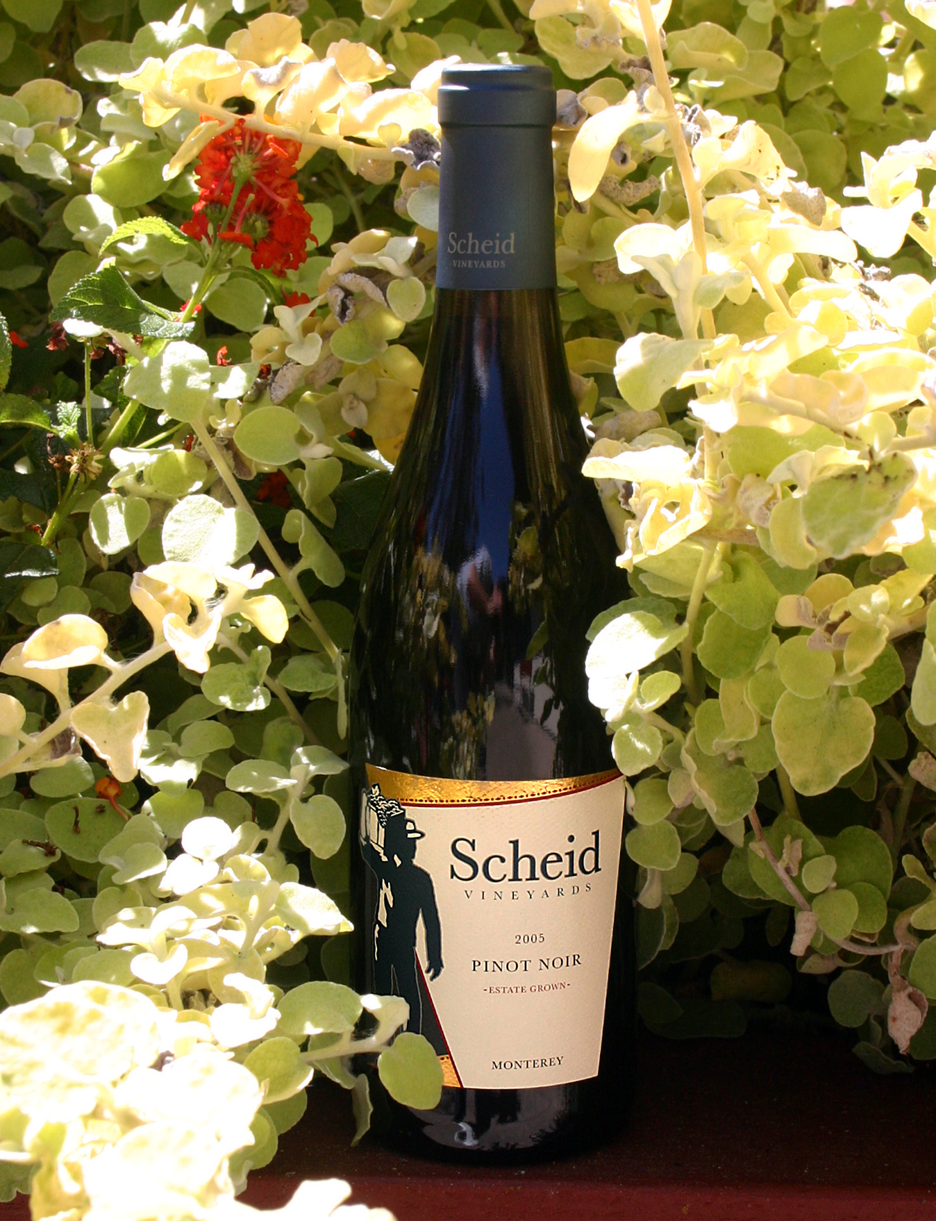 Scheid Vineyards 2005 Monterey Pinot Noir 750ml Wine Bottle