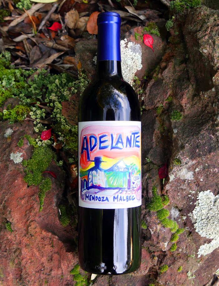Adelante 2014 Malbec Mendoza 750ml Wine Bottle