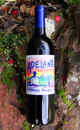 Adelante 2014 Malbec Mendoza 750ml Wine Bottle