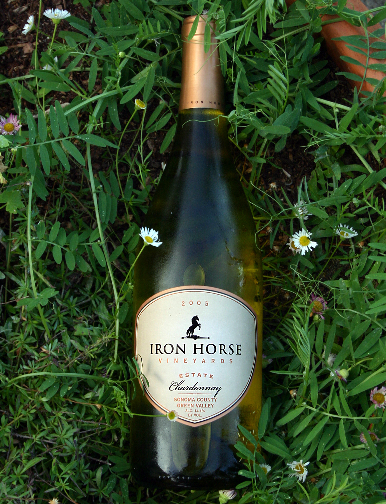 Iron Horse Vineyards 2005 Estate Chardonnay 750ml Wine Bottle
