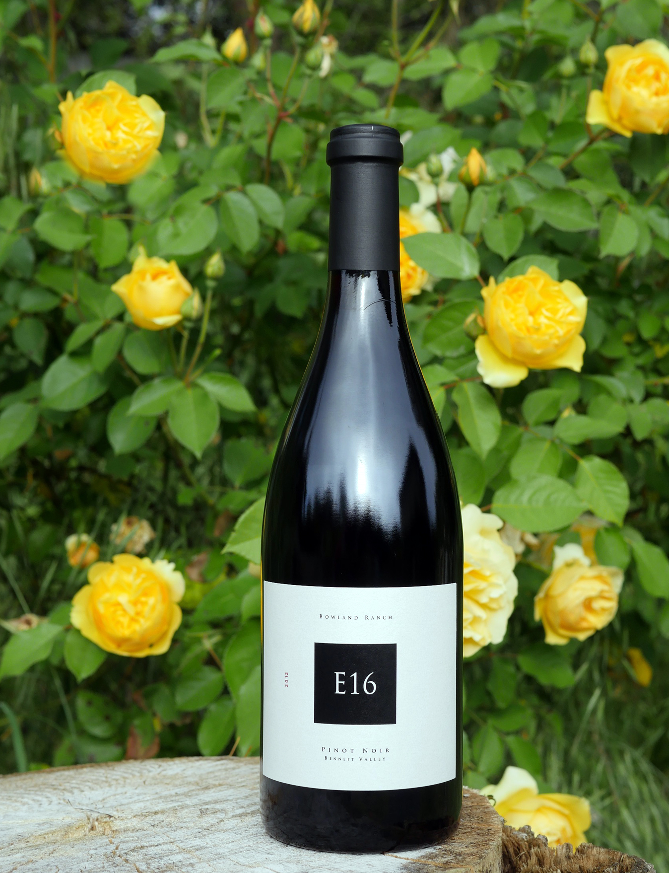 E16 Wine Co. 2012 Bowland Ranch Vineyard Bennett Valley Pinot Noir 750ml Wine Bottle