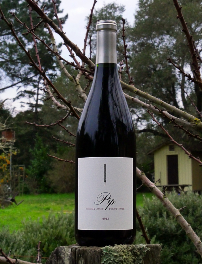 Pip Wines 2013 Sonoma Coast Pinot Noir 750ml Wine Bottle