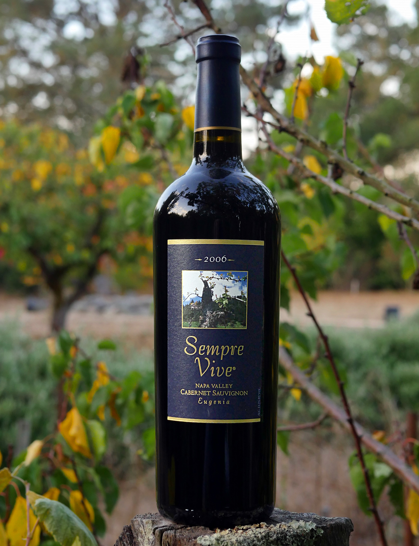 Romeo Vineyards 2006 Sempre Vive "Eugenia" Napa Valley Cabernet Sauvignon 750ml Wine Bottle