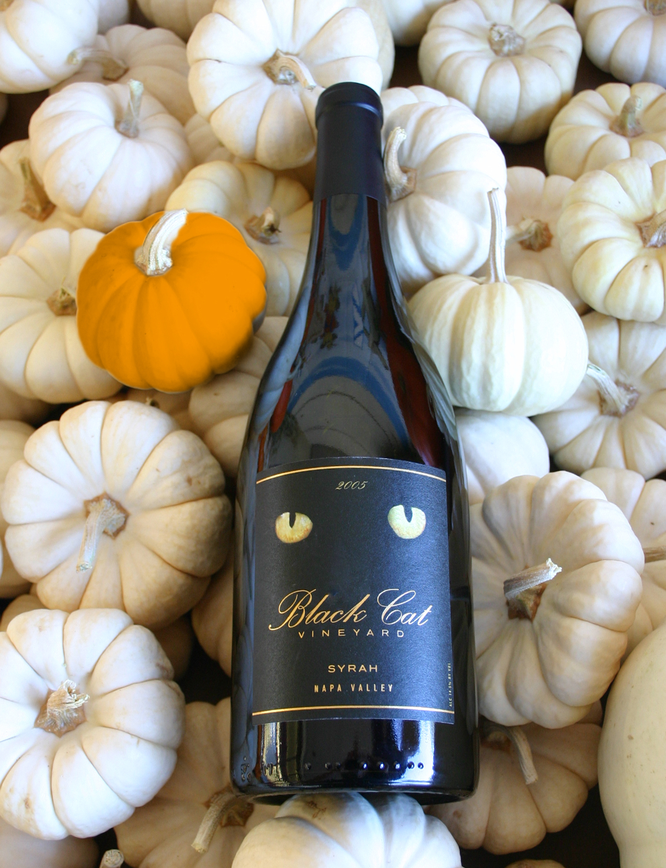 Black Cat Vineyard 2005 Napa Valley Syrah 750ml Wine Bottle