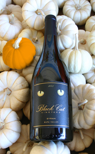 Black Cat Vineyard 2005 Napa Valley Syrah 750ml Wine Bottle