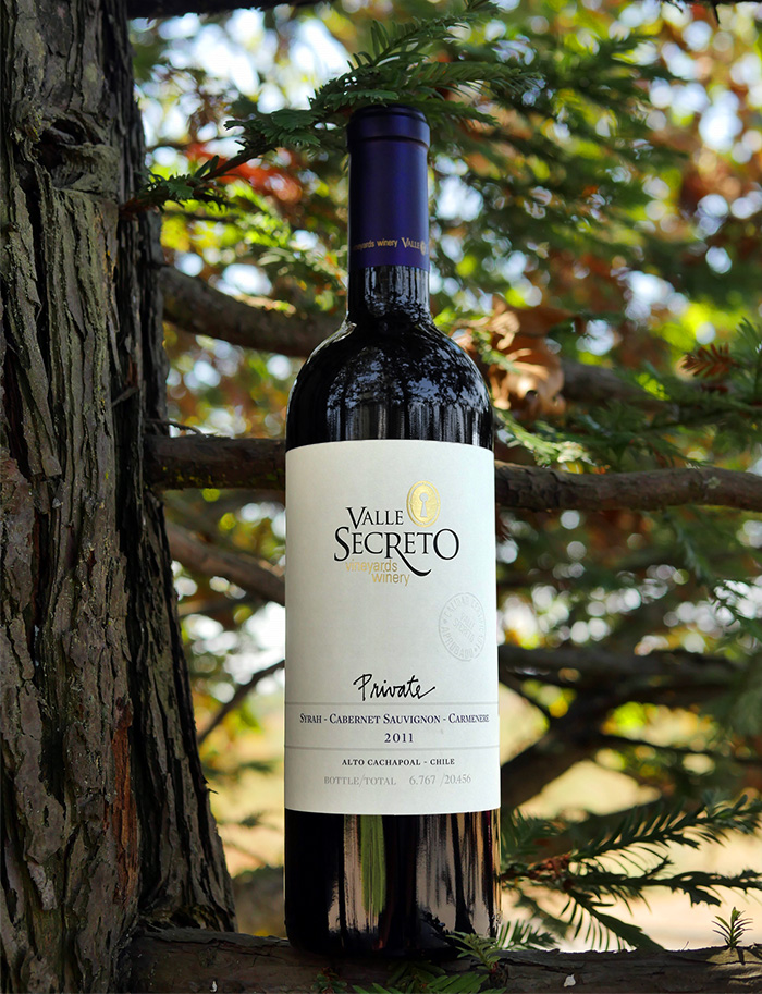 Valle Secreto 2011 "Private Edition" Red Blend 750ml Wine Bottle