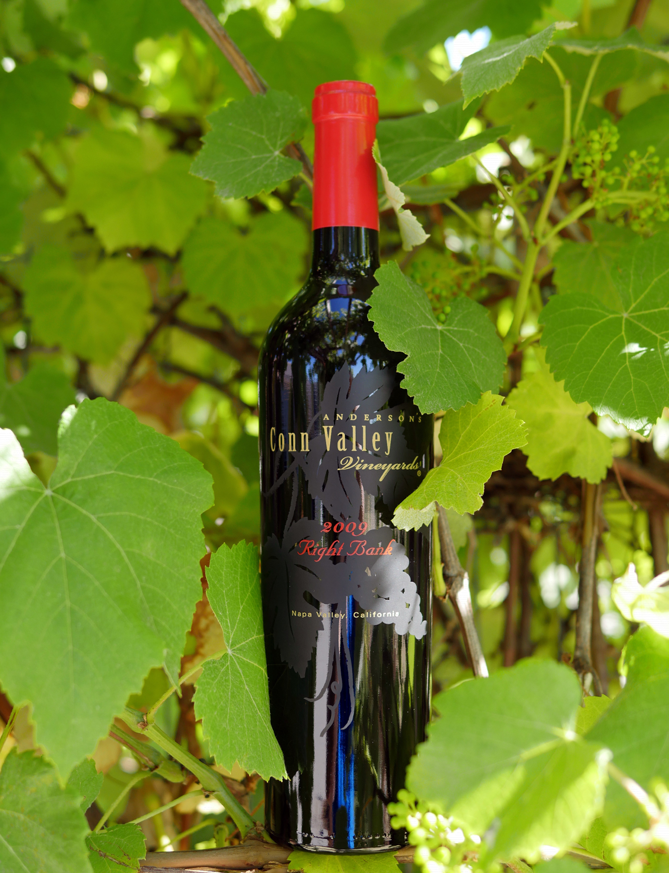 Anderson's Conn Valley 2009 Right Bank Red Wine 750ml Wine Bottle