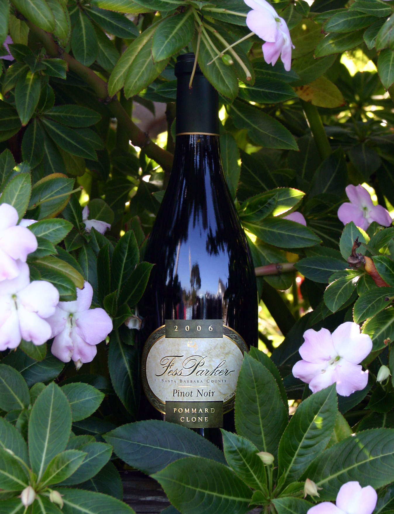 Fess Parker Winery 2006 Pommard Clone Pinot Noir 750ml Wine Bottle