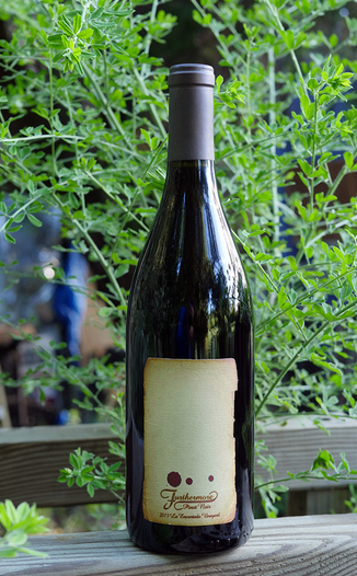 Furthermore 2013 La Encantada Vineyard Sta. Rita Hills Pinot Noir 750ml Wine Bottle