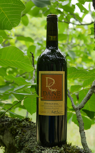 Dane Cellars 2010 Los Chamizal Vineyards Sonoma Valley Zinfandel 750ml Wine Bottle