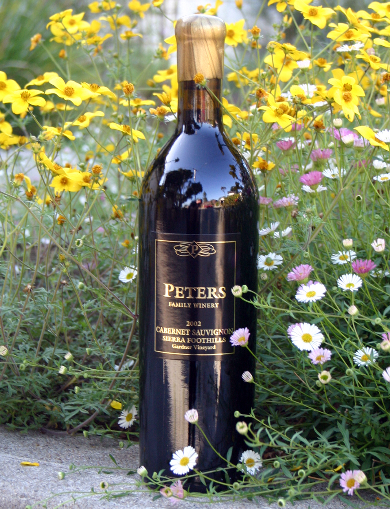 Peters Family Winery 2002 Cabernet Sauvignon 750ml Wine Bottle