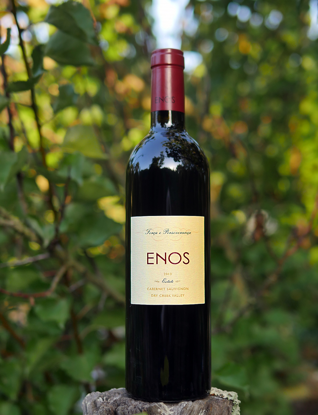 Enos Vineyards 2013 Estate Dry Creek Valley Cabernet Sauvignon 750ml Wine Bottle