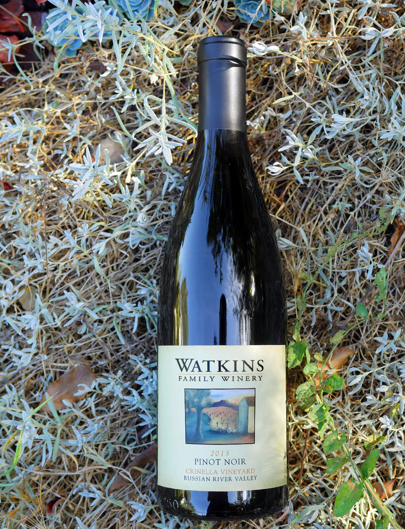 Watkins Family Winery 2013 Crinella Vineyard Russian River Valley Pinot Noir 750ml Wine Bottle