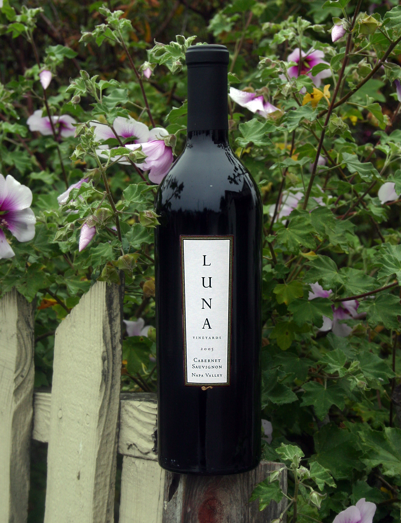 Luna Vineyards 2005 Napa Valley Cabernet Sauvignon 750ml Wine Bottle