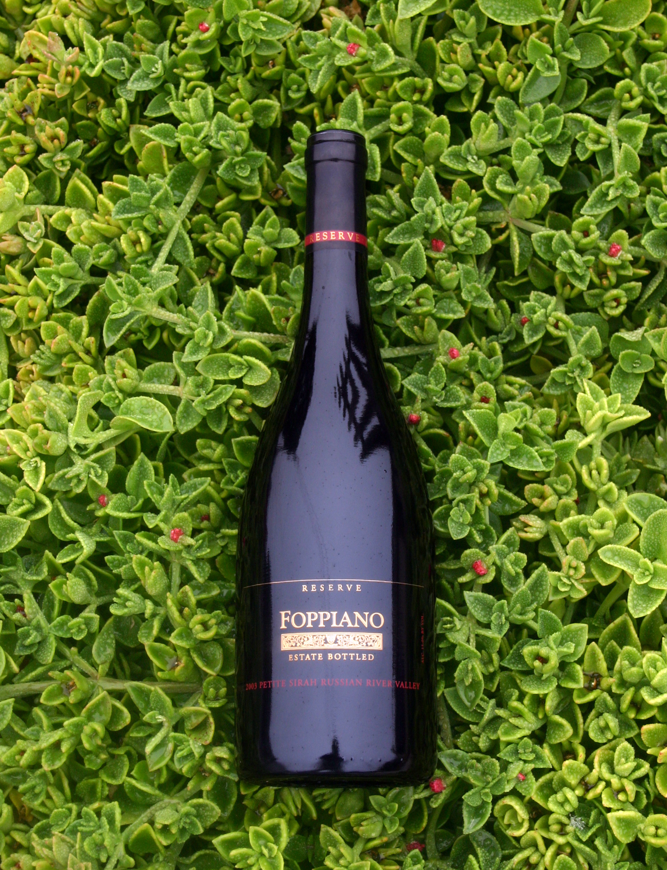 Foppiano Vineyards 2003 Petite Sirah, Estate Reserve 750ml Wine Bottle