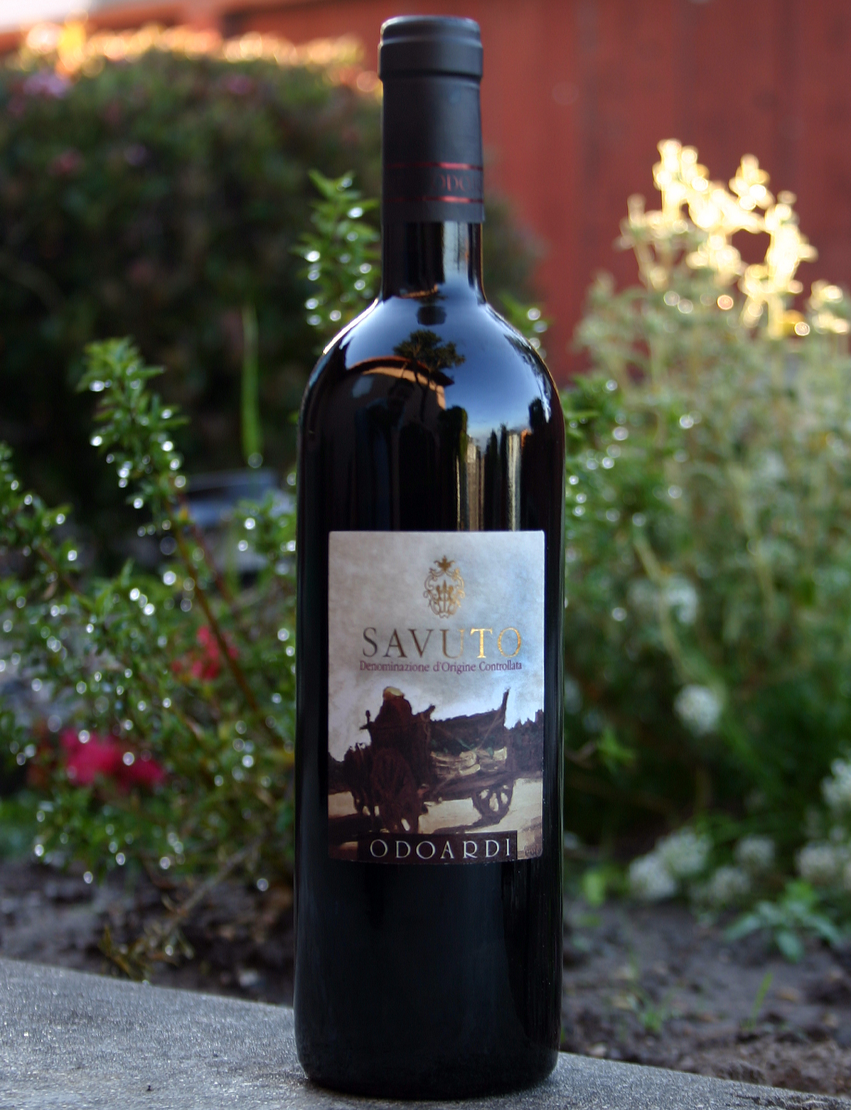 Odoardi 2003 Savuto 750ml Wine Bottle