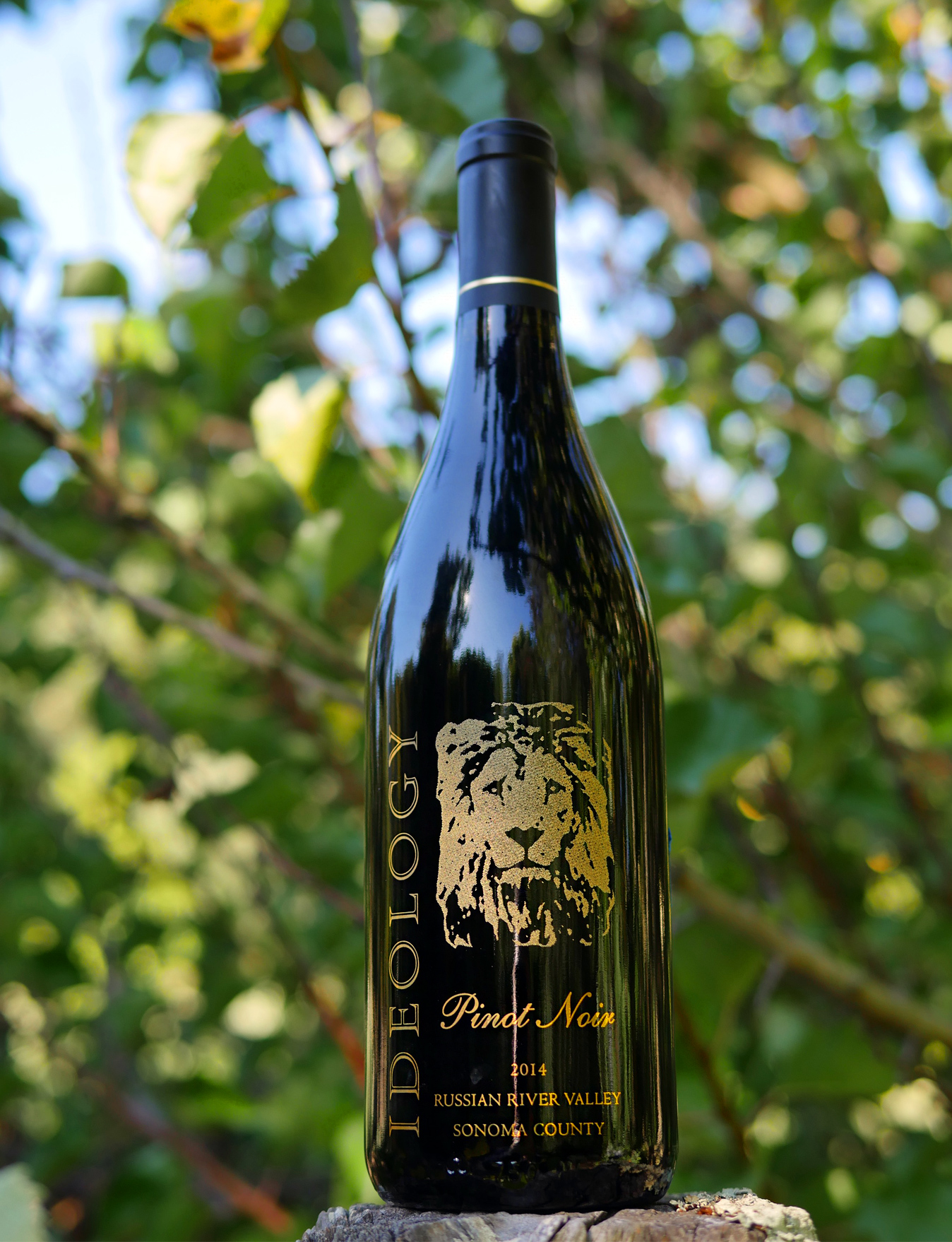 Ideology Cellars 2014 Russian River Valley Pinot Noir 750ml Wine Bottle