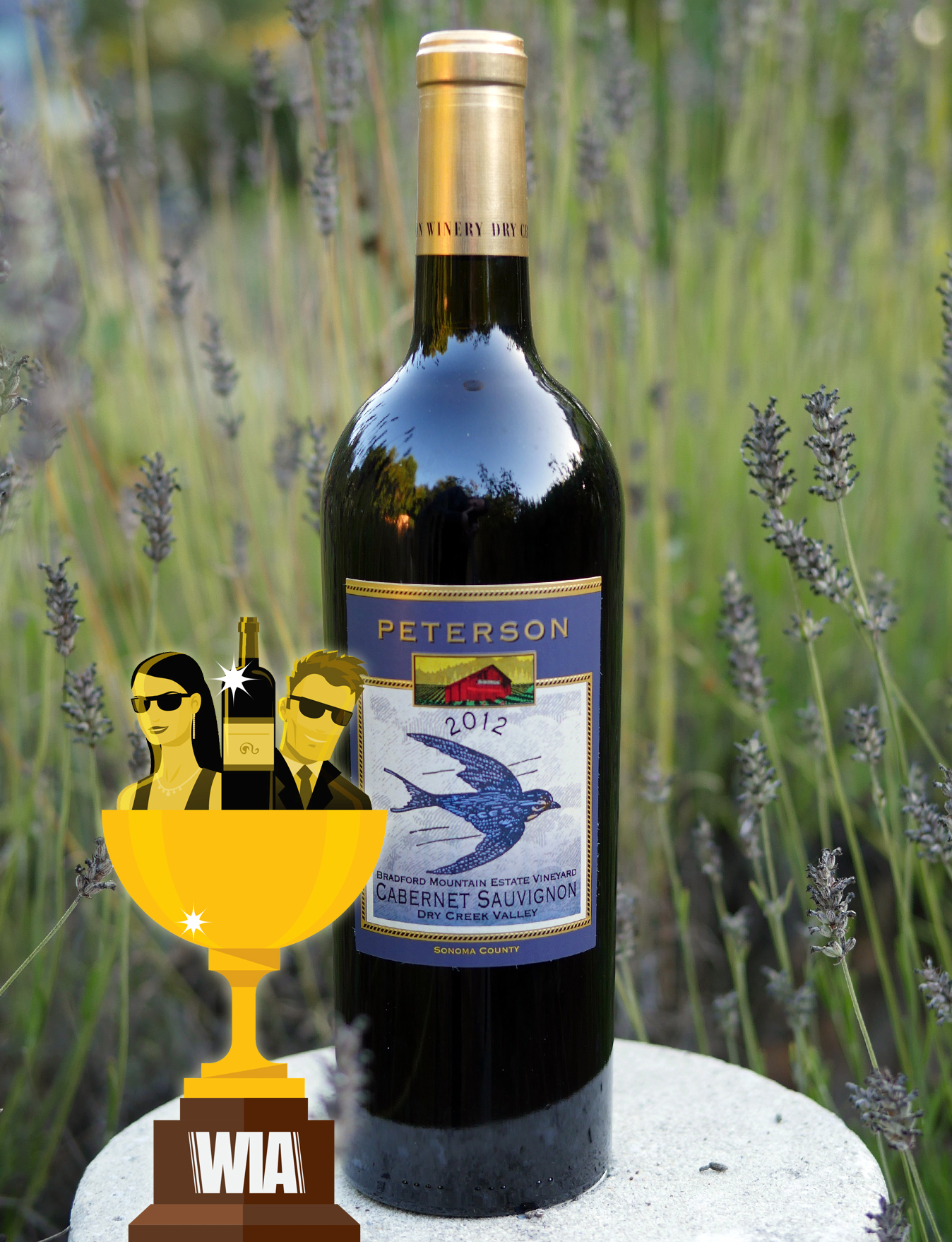 Peterson 2012 Bradford Mountain Vineyard Estate Cabernet Sauvignon 750ml Wine Bottle