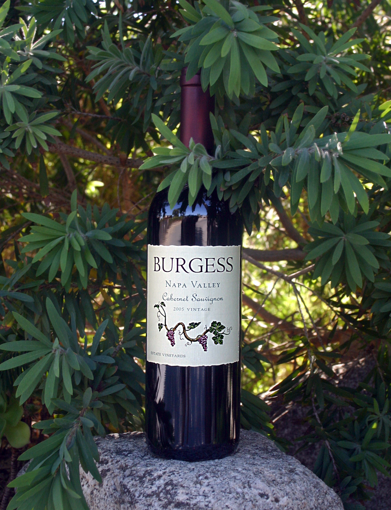Burgess Cellars 2005 Estate Vineyards Cabernet Sauvignon 750ml Wine Bottle