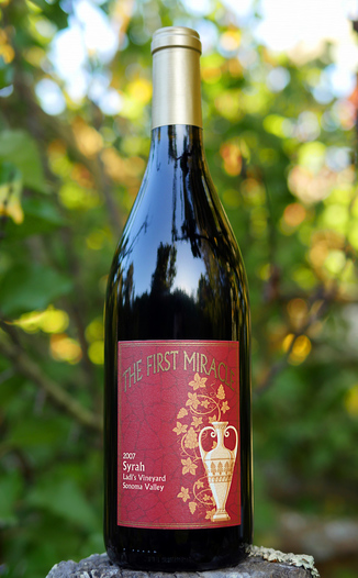 Samuel J. Anderson Cellars 2007 Ladi's Vineyard Sonoma Valley Syrah 750ml Wine Bottle