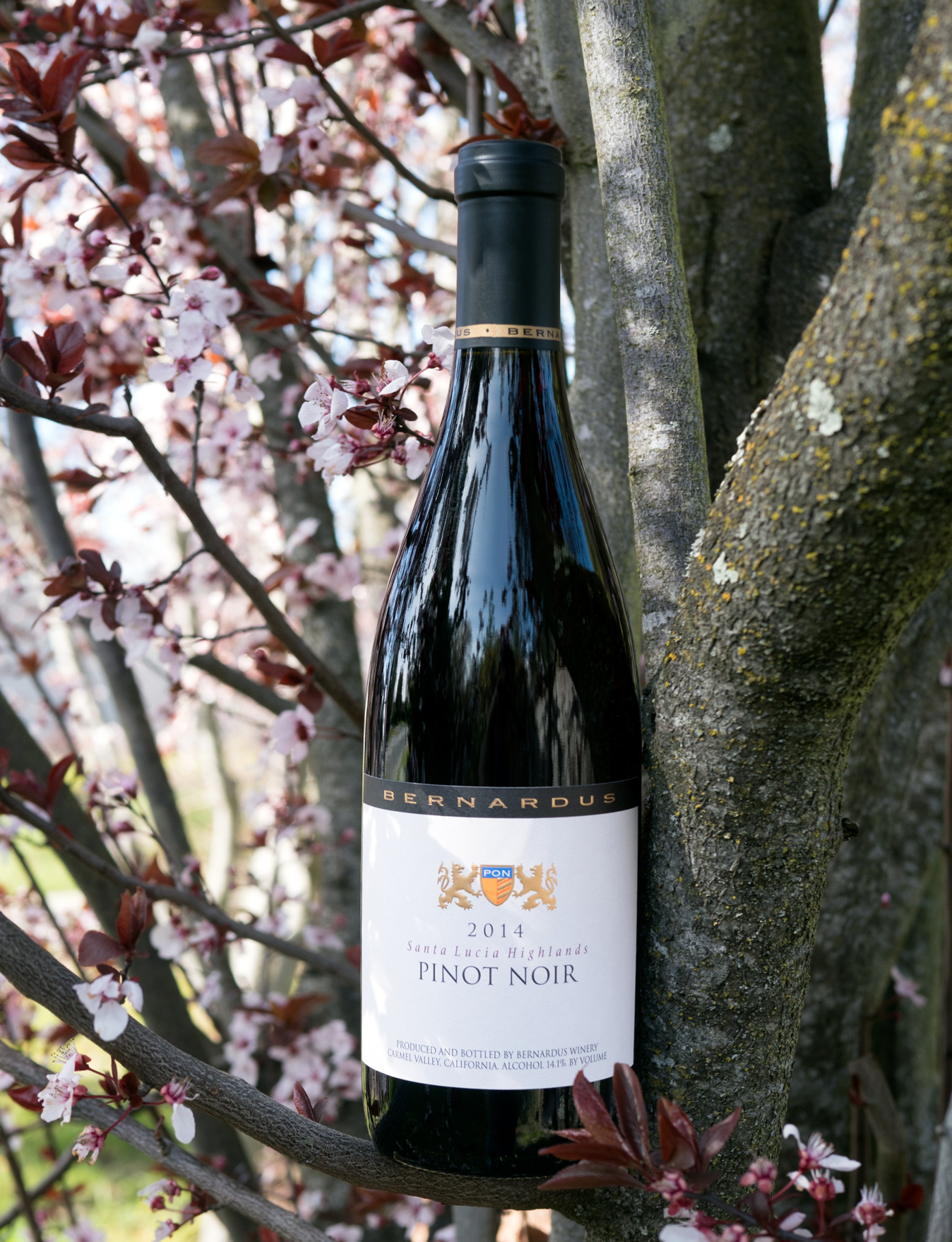 Bernardus Winery 2014 Santa Lucia Highlands Pinot Noir 750ml Wine Bottle