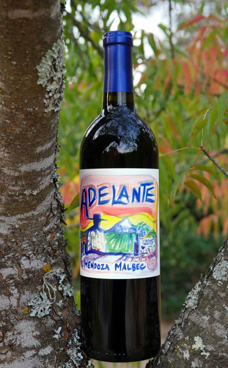 Adelante 2015 Mendoza Malbec 750ml Wine Bottle