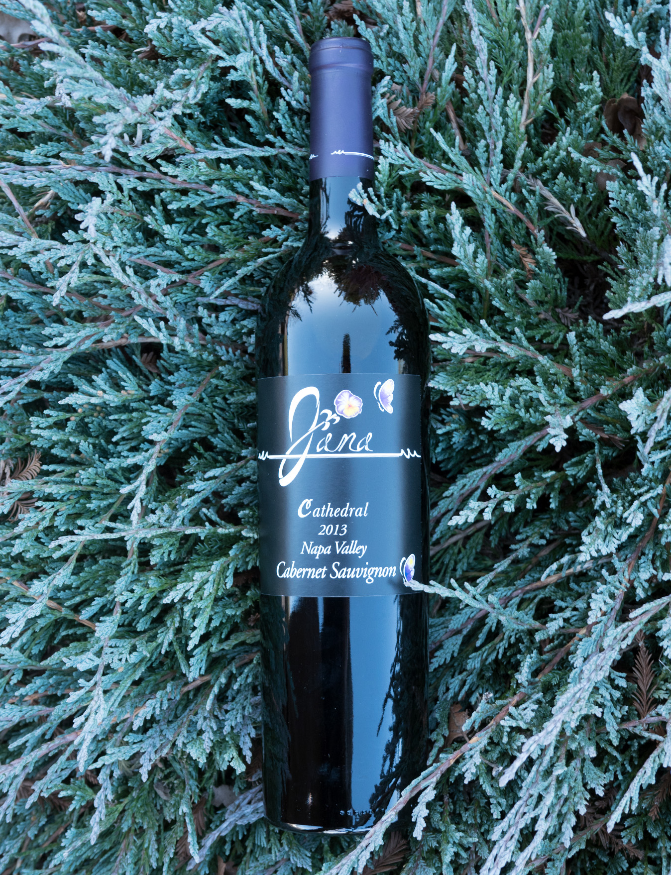 Scott Harvey Wines 2013 Jana Cathedral Napa Valley Cabernet Sauvignon 750ml Wine Bottle