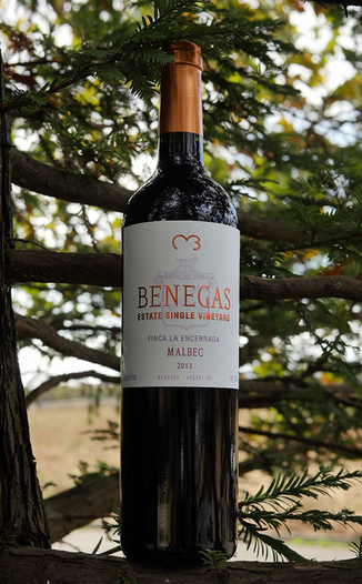 Benegas Lynch 2013 Estate Single Vineyard Finca La Encerrada Mendoza Malbec 750ml Wine Bottle