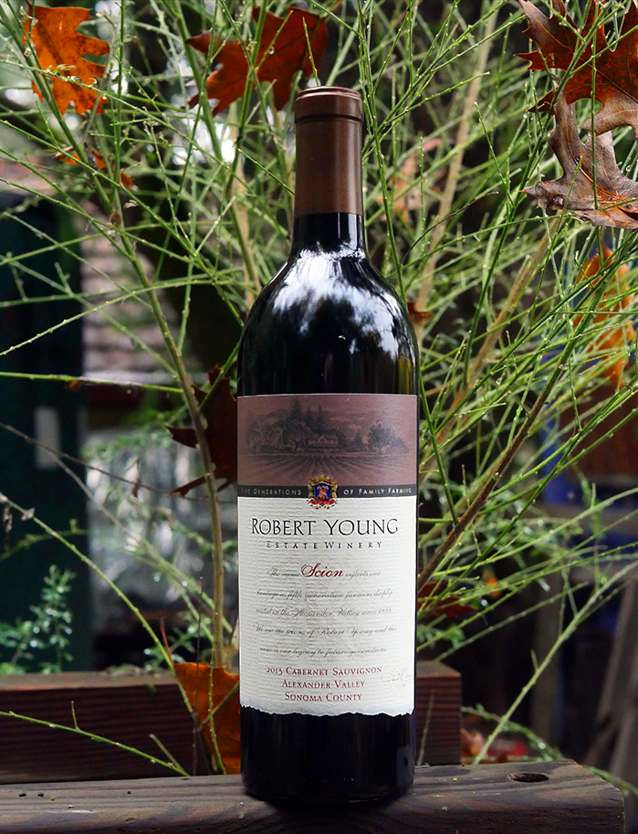 Robert Young 2013 Scion Alexander Valley Sonoma County Cabernet Sauvignon 750ml Wine Bottle