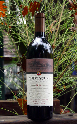 Robert Young 2013 Scion Alexander Valley Sonoma County Cabernet Sauvignon 750ml Wine Bottle