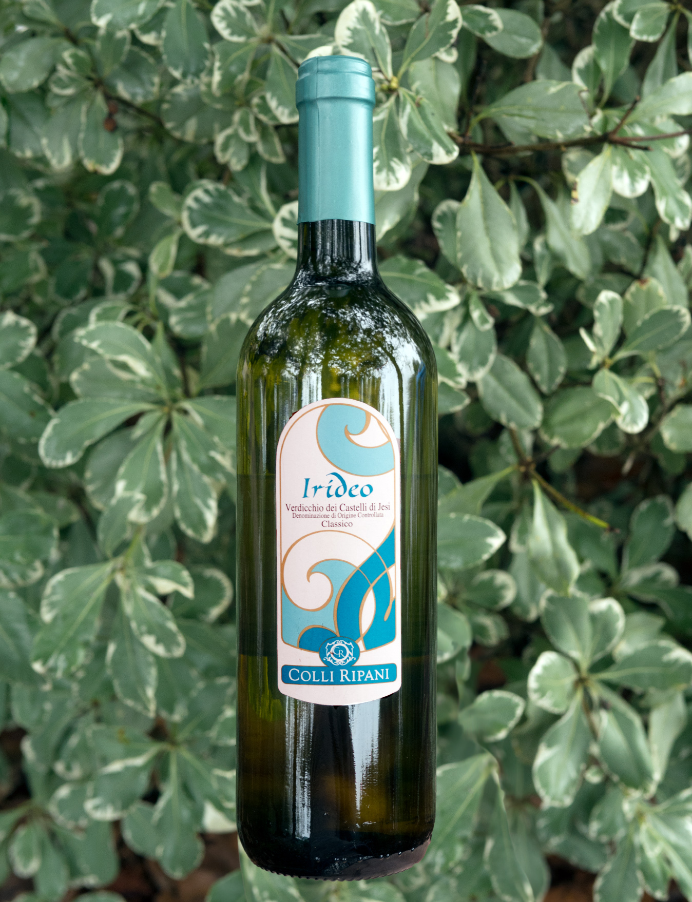 Cantina Colli Ripani 2013 Irideo Verdicchio dei Castelli di Jesi D.O.C. 750ml Wine Bottle