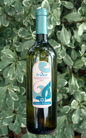 Cantina Colli Ripani 2013 Irideo Verdicchio dei Castelli di Jesi D.O.C. 750ml Wine Bottle