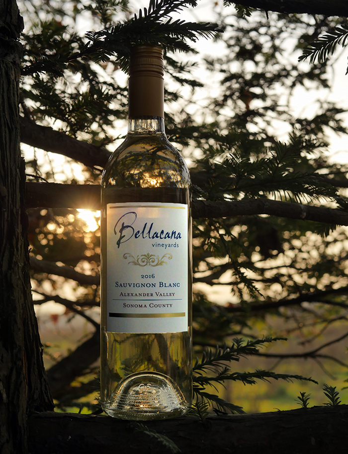 Bellacana Vineyards 2016 Alexander Valley Sonoma County Sauvignon Blanc 750ml Wine Bottle