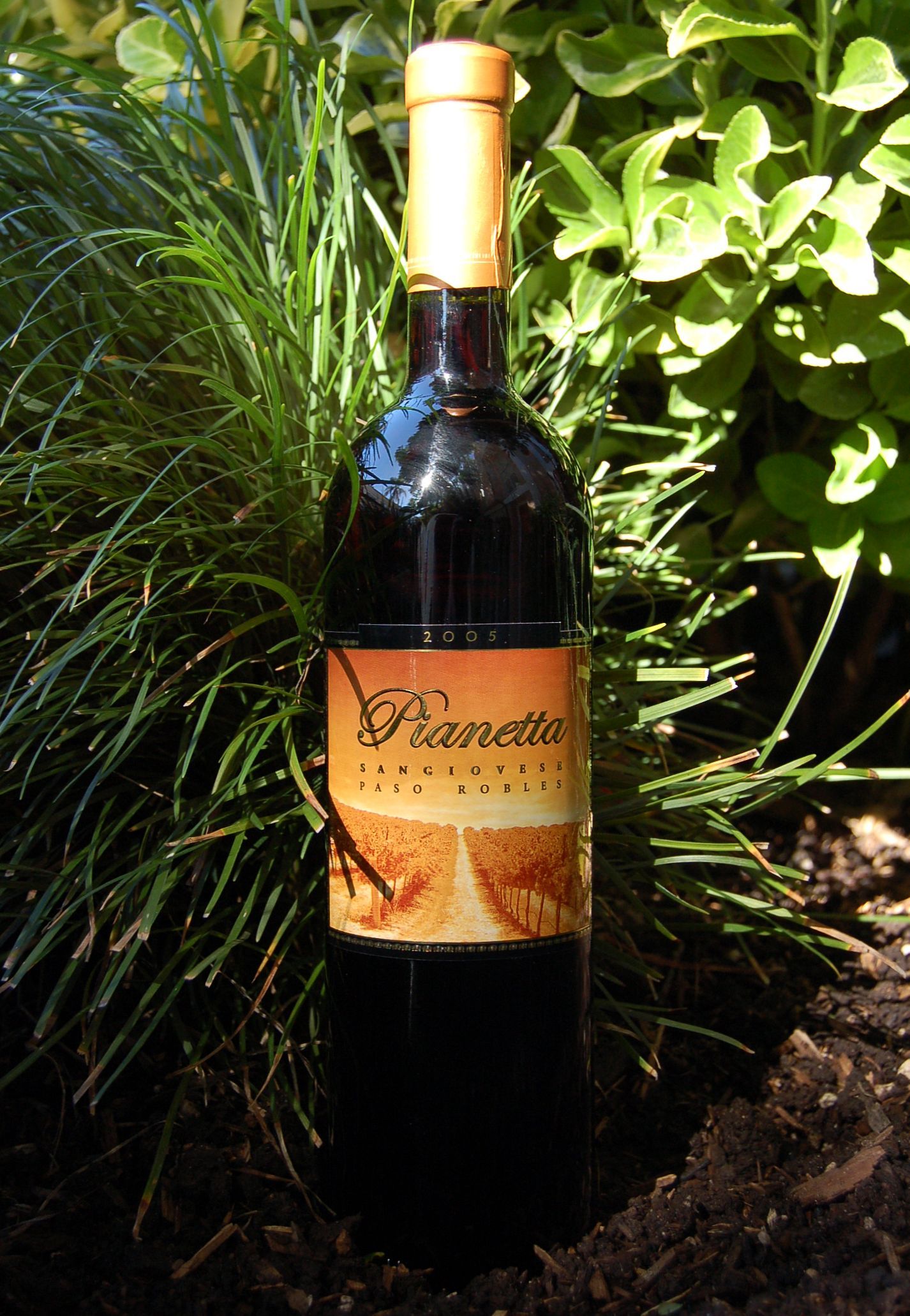 Pianetta Winery 2005 Sangiovese 750ml Wine Bottle