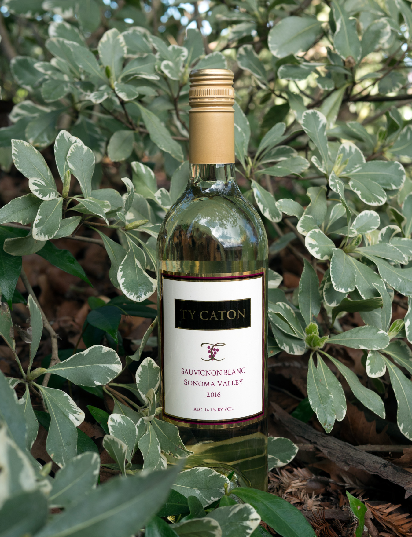 Ty Caton 2016 Sonoma Valley Sauvignon Blanc 750ml Wine Bottle